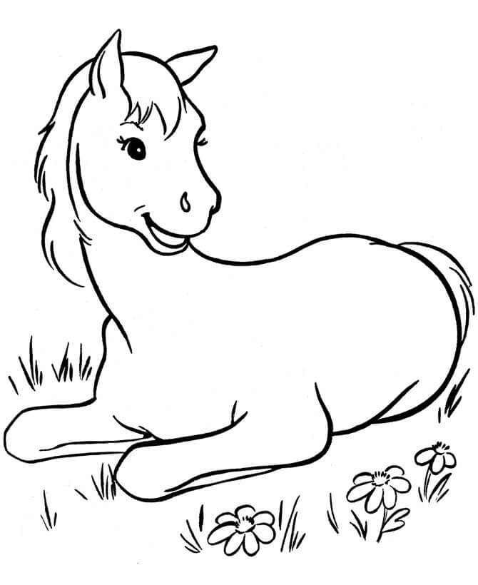 Dibujo de Caballo Sentado para Colorear