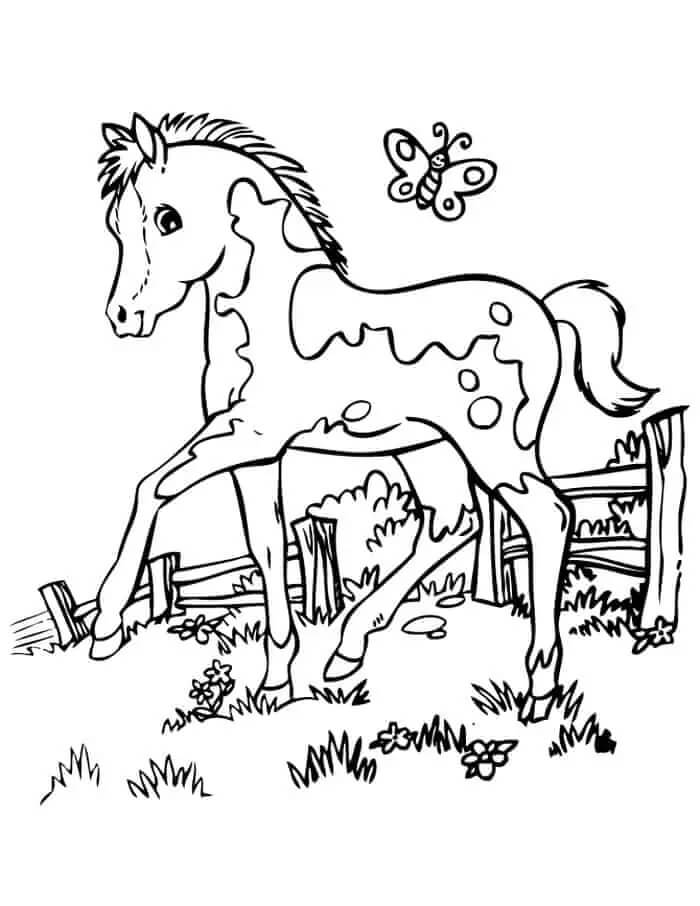 Dibujo de Caballo y Mariposa para Colorear