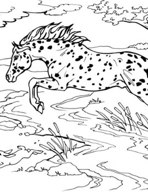 Dibujo de Saltos de Caballos Legales para Colorear