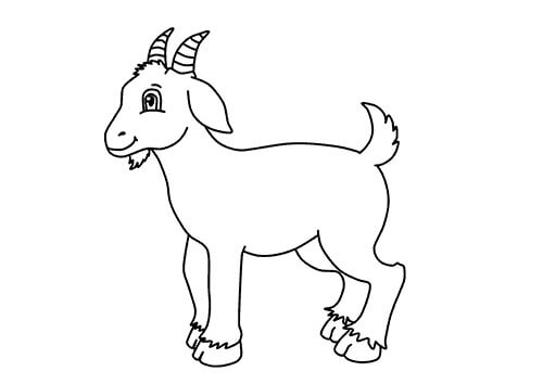 Dibujo de Buena Cabra para Colorear