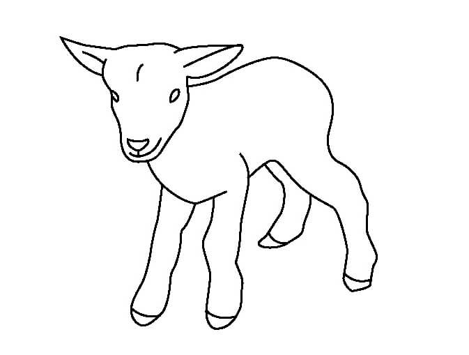 Dibujo de Cabra Beb para Colorear