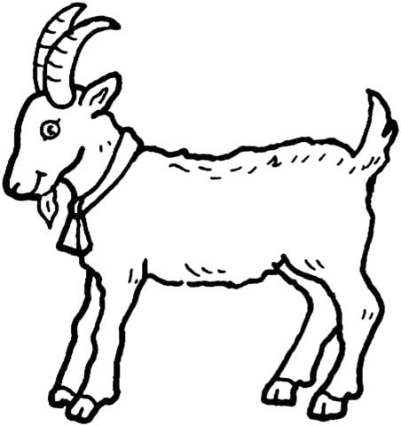 Dibujo de Cabra Bsica para Colorear