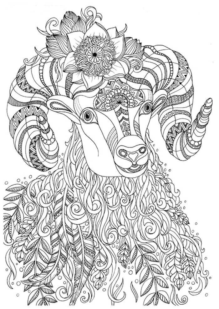 Dibujo de Cabra Duro para Colorear