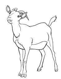 Dibujo de Cabra Feliz para Colorear
