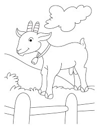 Dibujo de Cabra Normal para Colorear