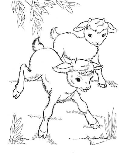 Dibujo de Dos Cabra Chibi para Colorear