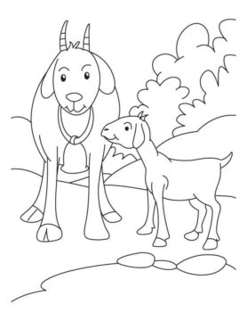 Dibujo de Madre e Hijo de Cabra para Colorear