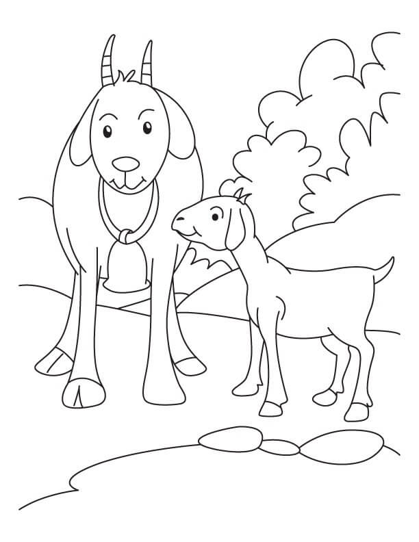 Dibujo de Madre e Hijo de Cabra para Colorear