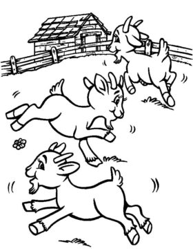 Dibujo de Tres Cabras Persiguindose para Colorear