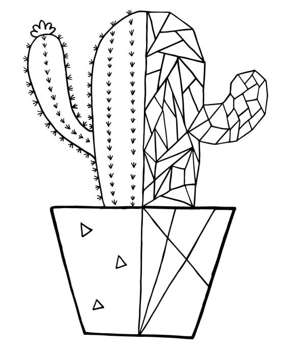 Dibujo de Bonitocactus para Colorear