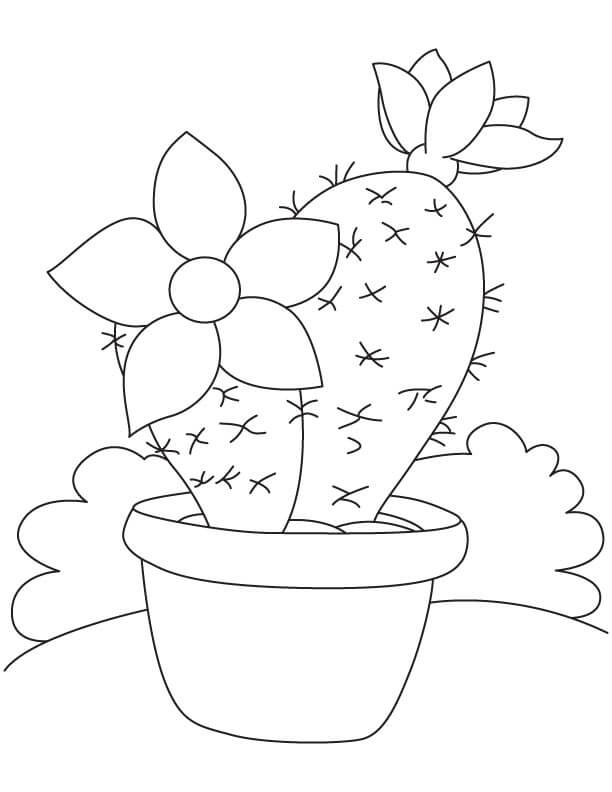 Dibujo de Buen Cactus en Maceta para Colorear