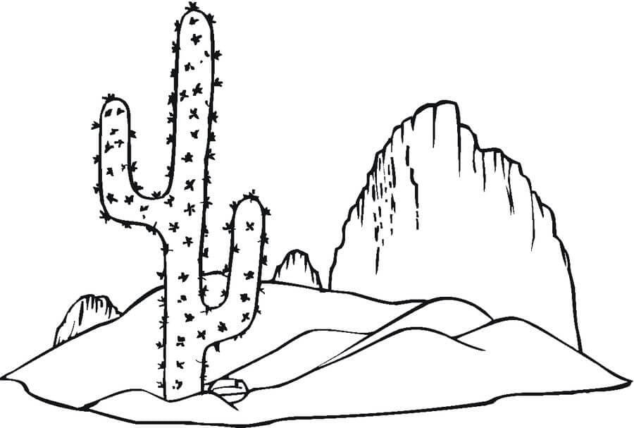 Dibujo de Buen Cactus para Colorear