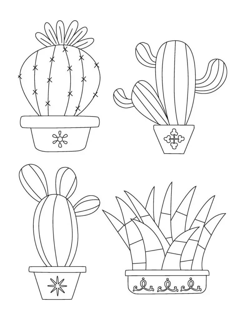 Dibujo de Cactus básico de Cuatro Macetas para Colorear