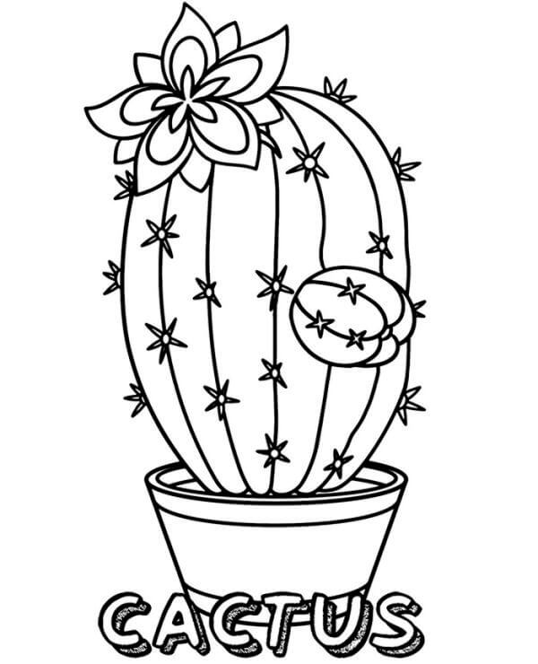 Dibujo de Cactus básico para Colorear
