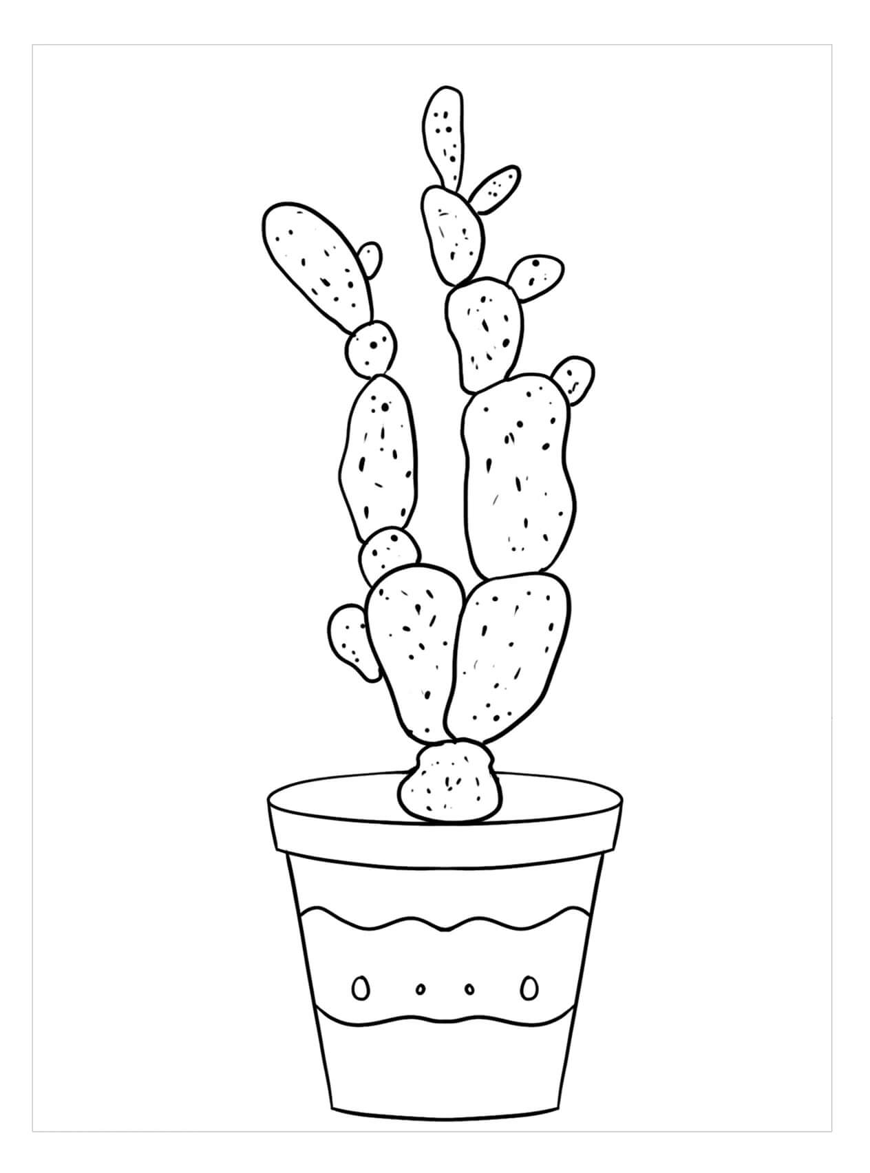 Dibujo de Cactus de Dedos de Dama para Colorear