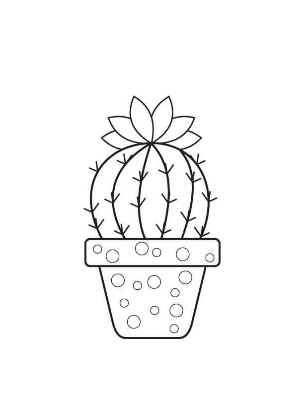 Dibujo de Cactus en Maceta básico para Colorear