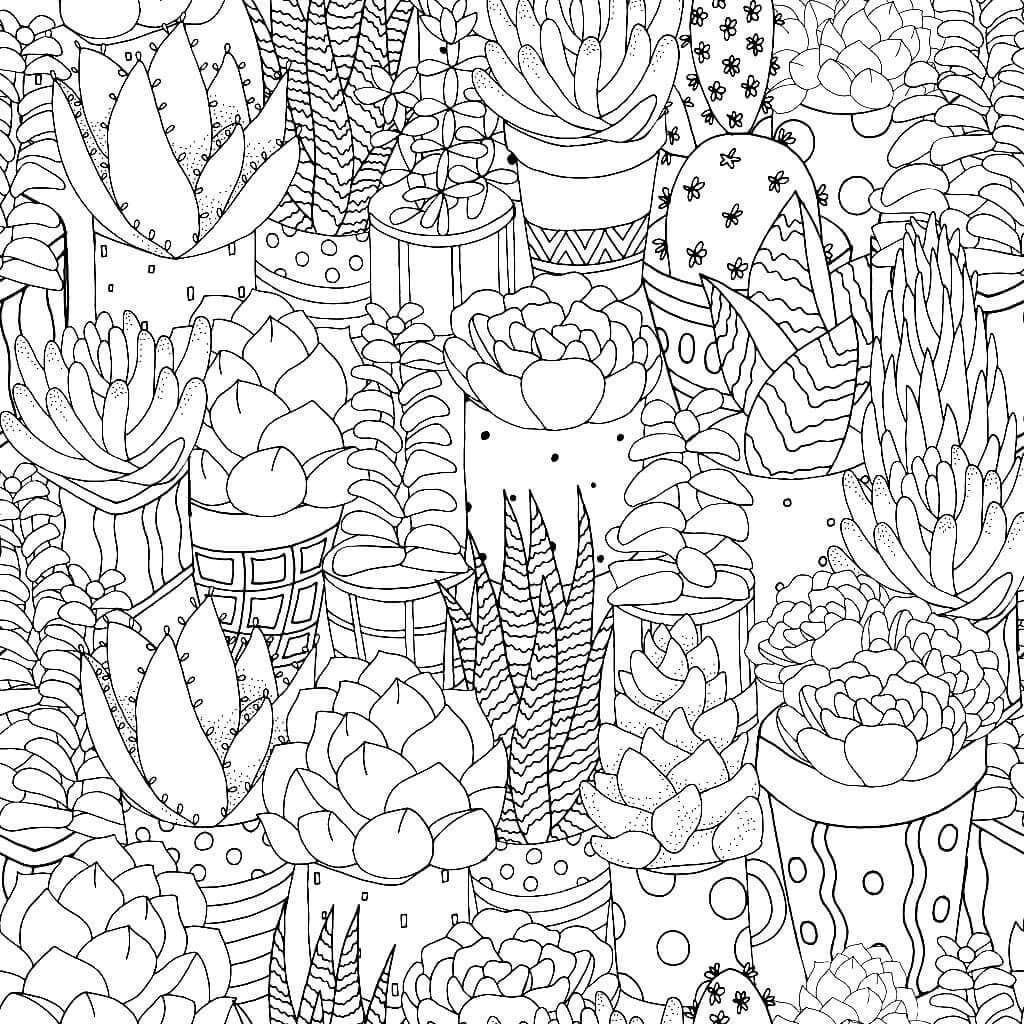 Dibujo de Cactus Es para Adultos para Colorear