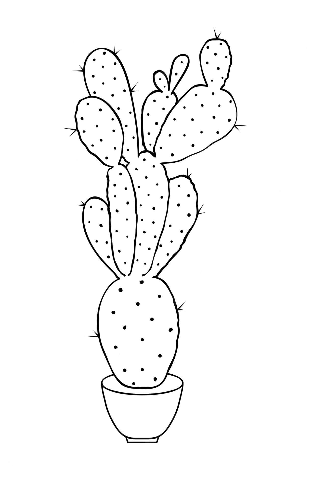 Dibujo de Cactus Gratis para Colorear