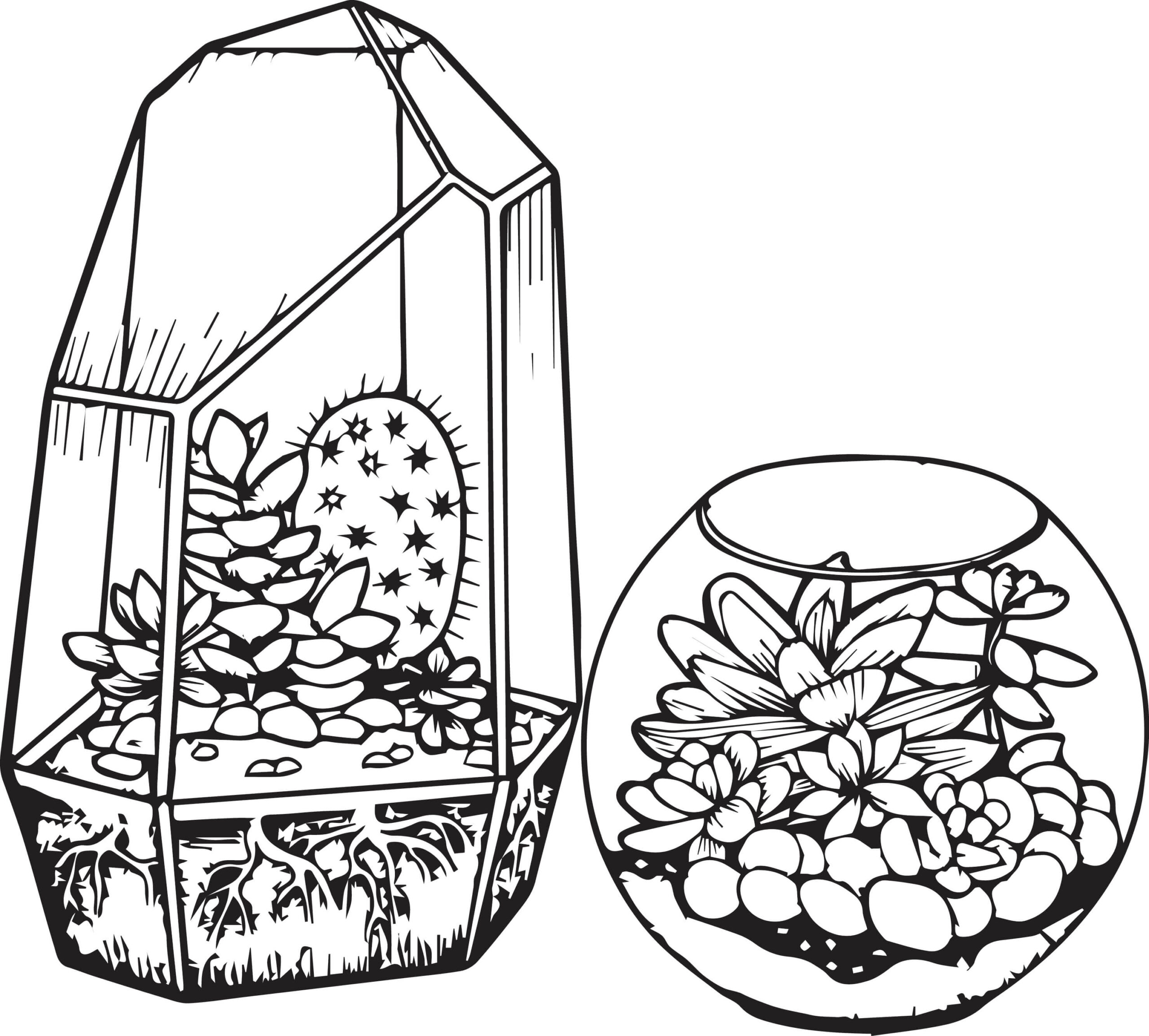 Dibujo de Cactus y Suculentas para Colorear