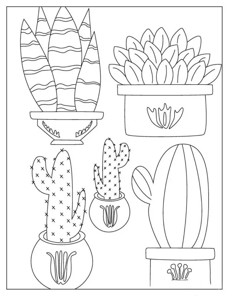 Dibujo de Cinco Cactus en Maceta para Colorear