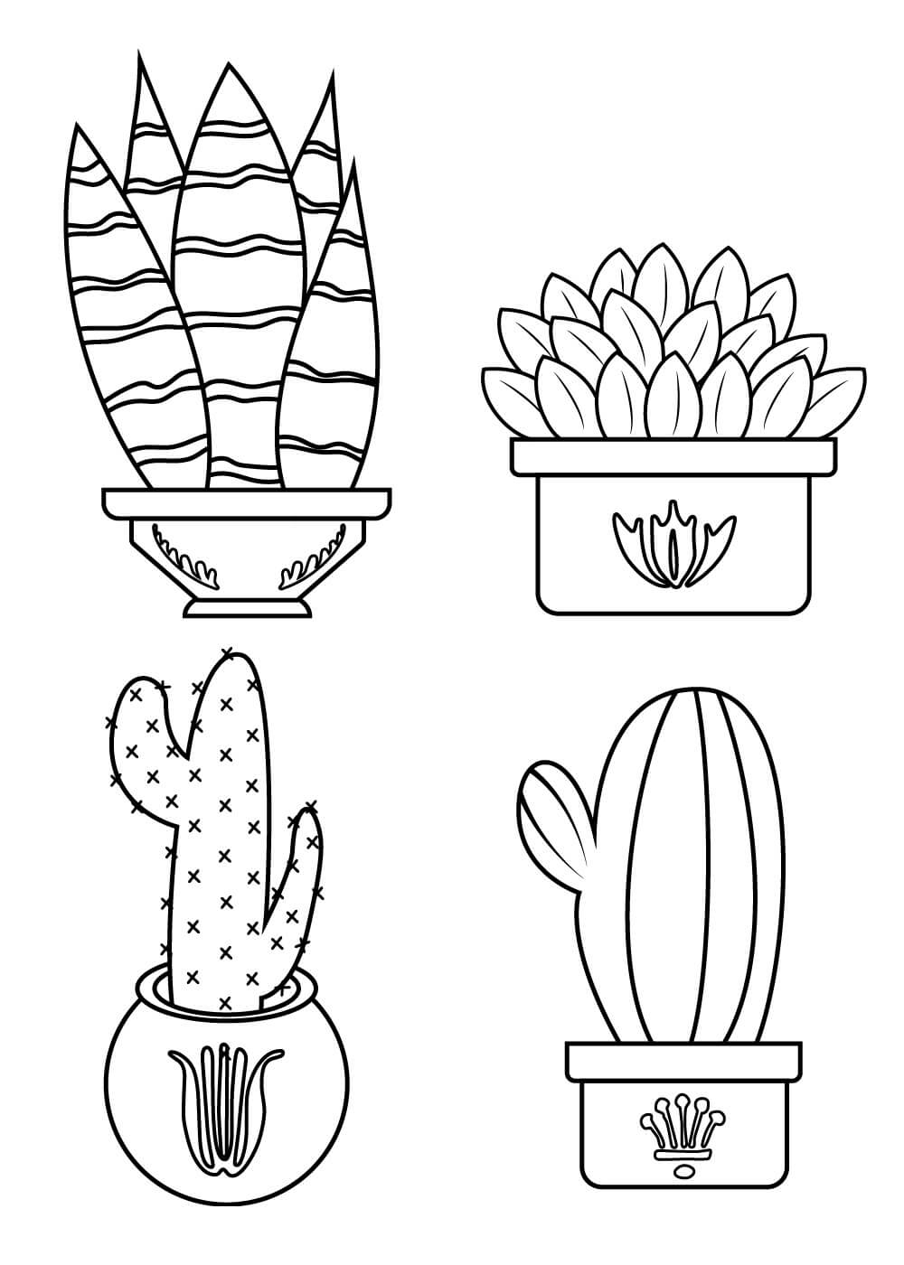 Dibujo de Cuatro Cactus en Maceta para Colorear