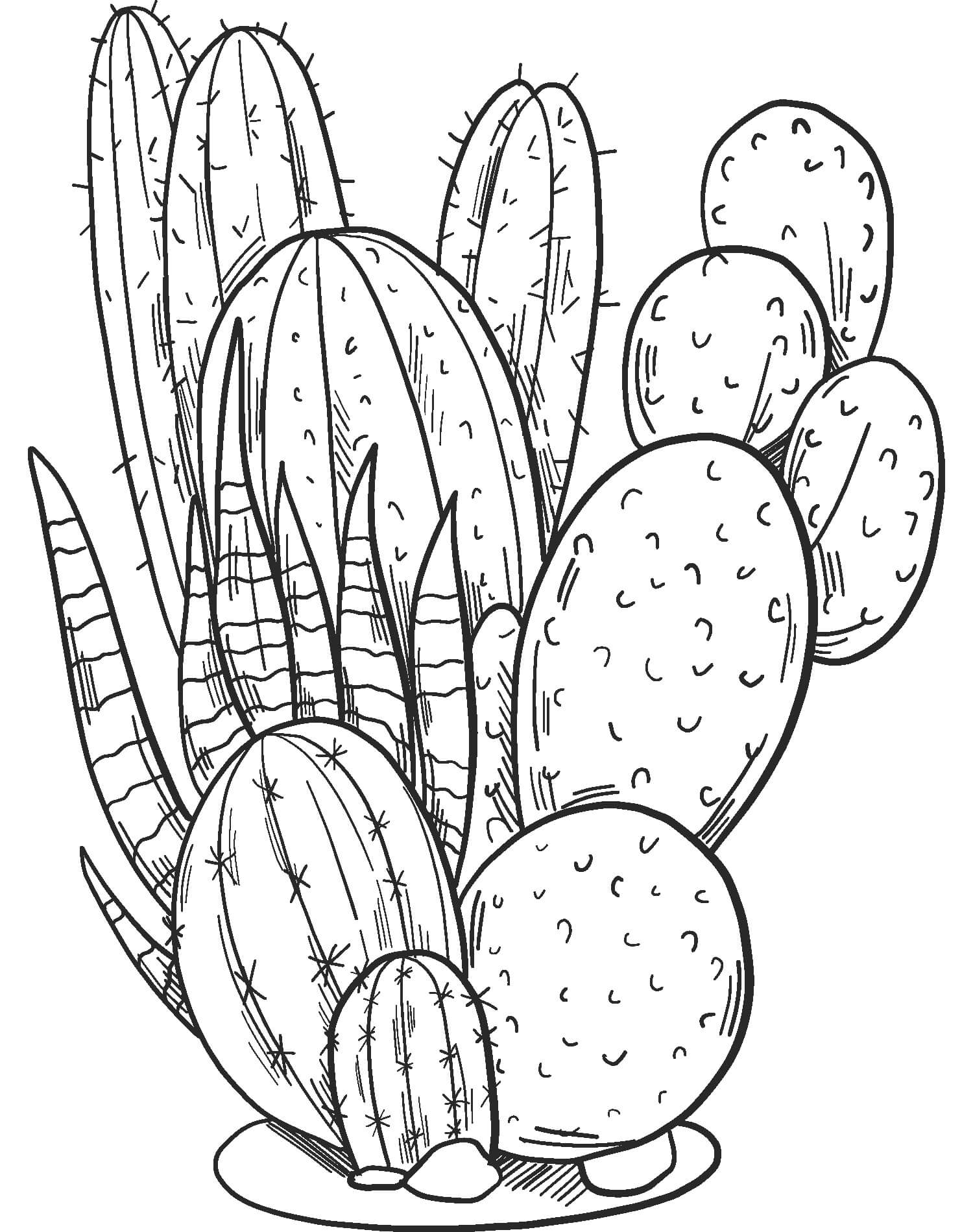 Dibujo de Gran Cactus para Colorear