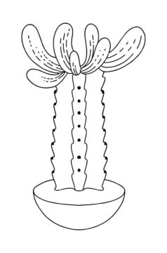 Dibujo de Impresionante Cactus en Maceta para Colorear