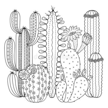Dibujo de Jardín de Cactus para Colorear