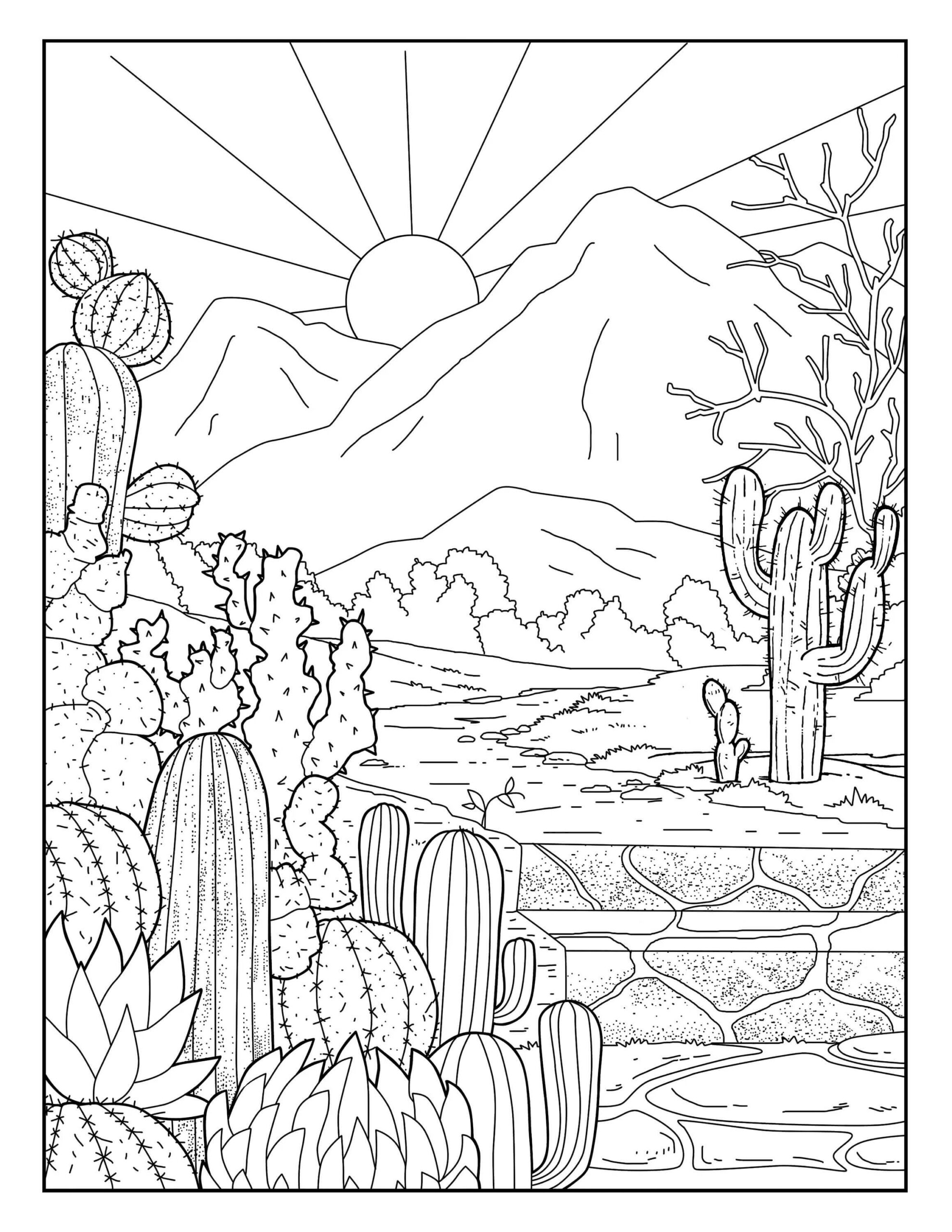 Dibujo de Jardín de Cactus y Sol para Colorear