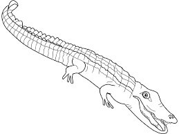 Dibujo de Buen Cocodrilo para Colorear