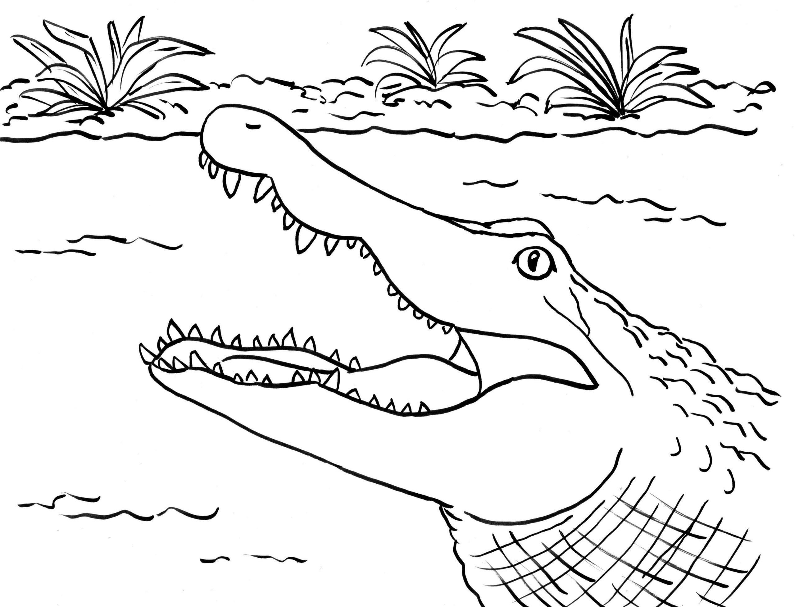 Dibujo de Cara de Cocodrilo Scaled para Colorear