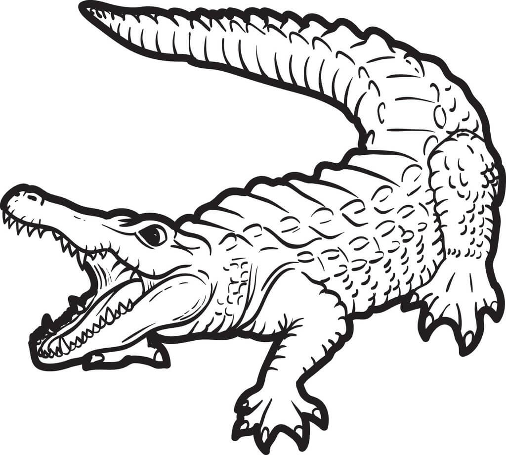 Dibujo de Cocodrilo Aterrador para Colorear