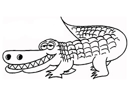 Dibujo de Cocodrilo Estpido para Colorear