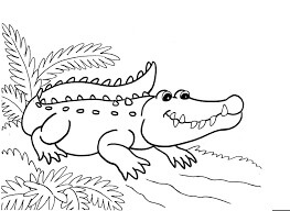 Dibujo de Cocodrilo Normal para Colorear