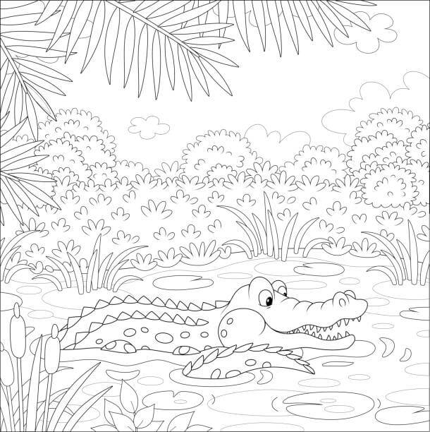 Dibujo de Cocodrilo en el Barro para Colorear
