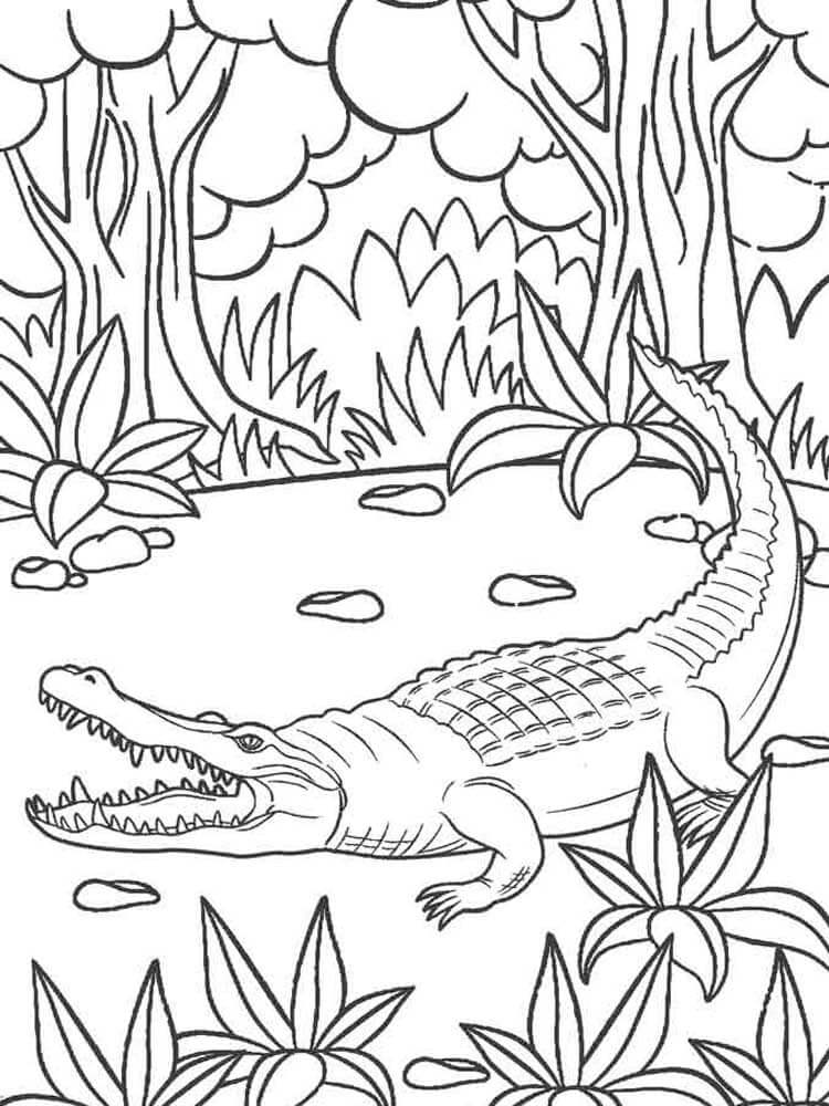 Dibujo de Cocodrilo en la Jungla para Colorear