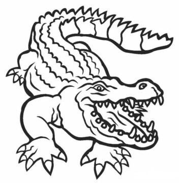 Dibujo de Cocodrilo para Colorear