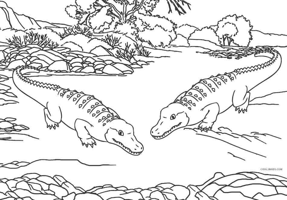 Dibujo de Dos Cocodrilo para Colorear