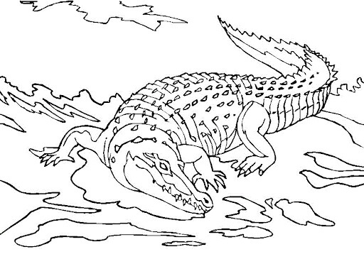Dibujo de Gran Cocodrilo para Colorear