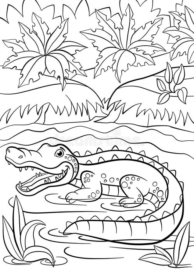 Dibujo de Pequeo Cocodrilo Lindo Se Sienta en el Lago para Colorear