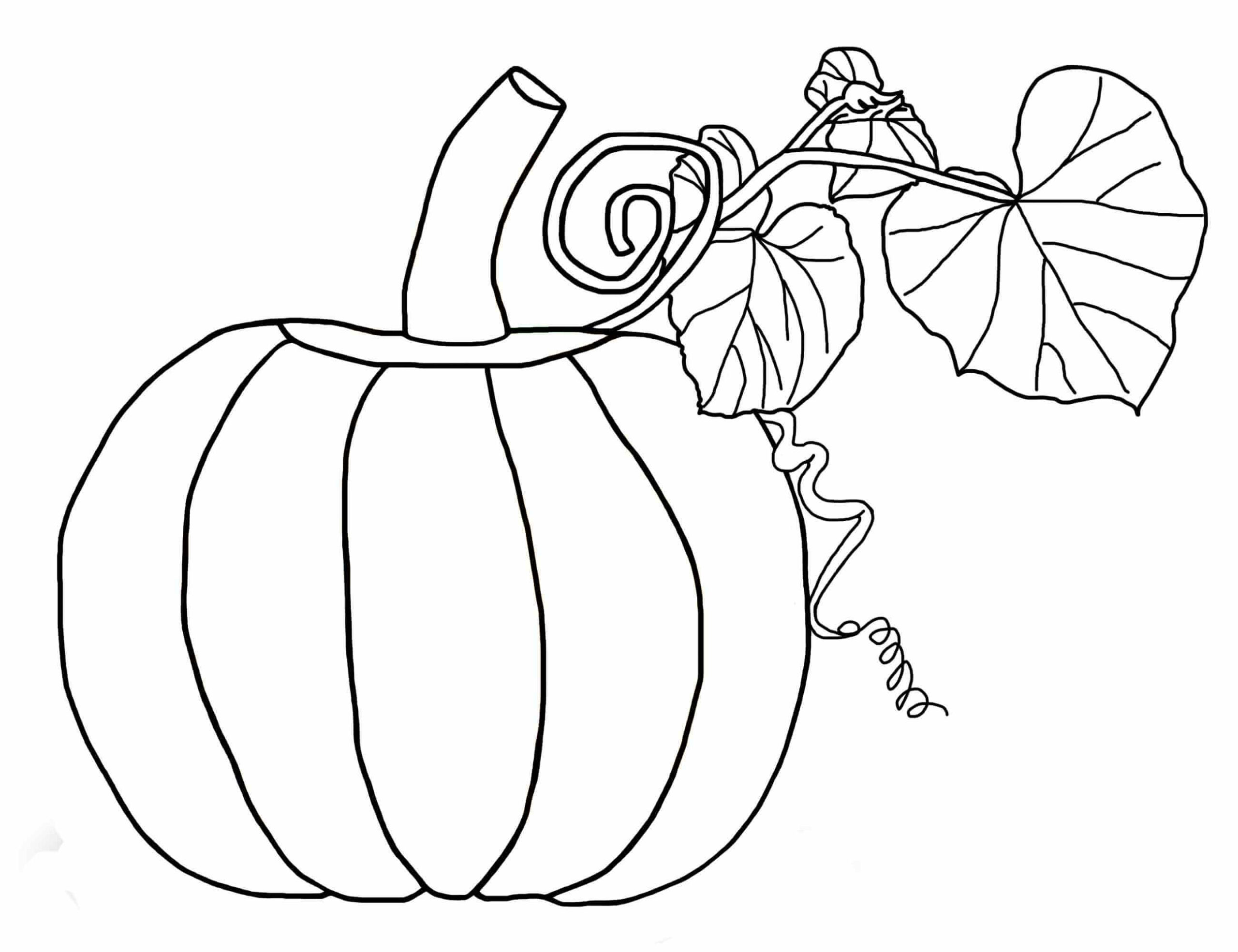 Dibujo de Calabaza con Hoja para Colorear