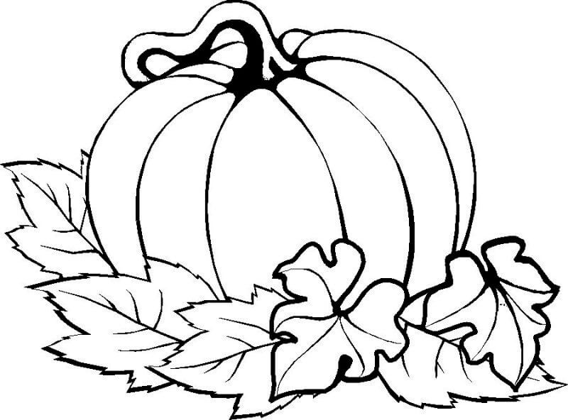 Dibujo de Calabaza de acción de Gracias para Colorear