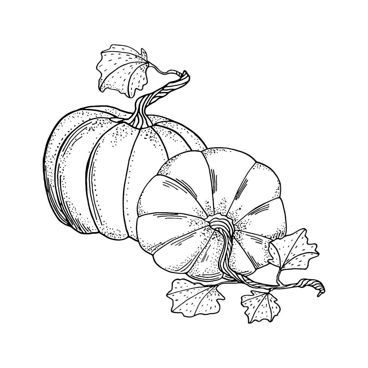 Dibujo de Dibujar a Mano Calabaza para Colorear