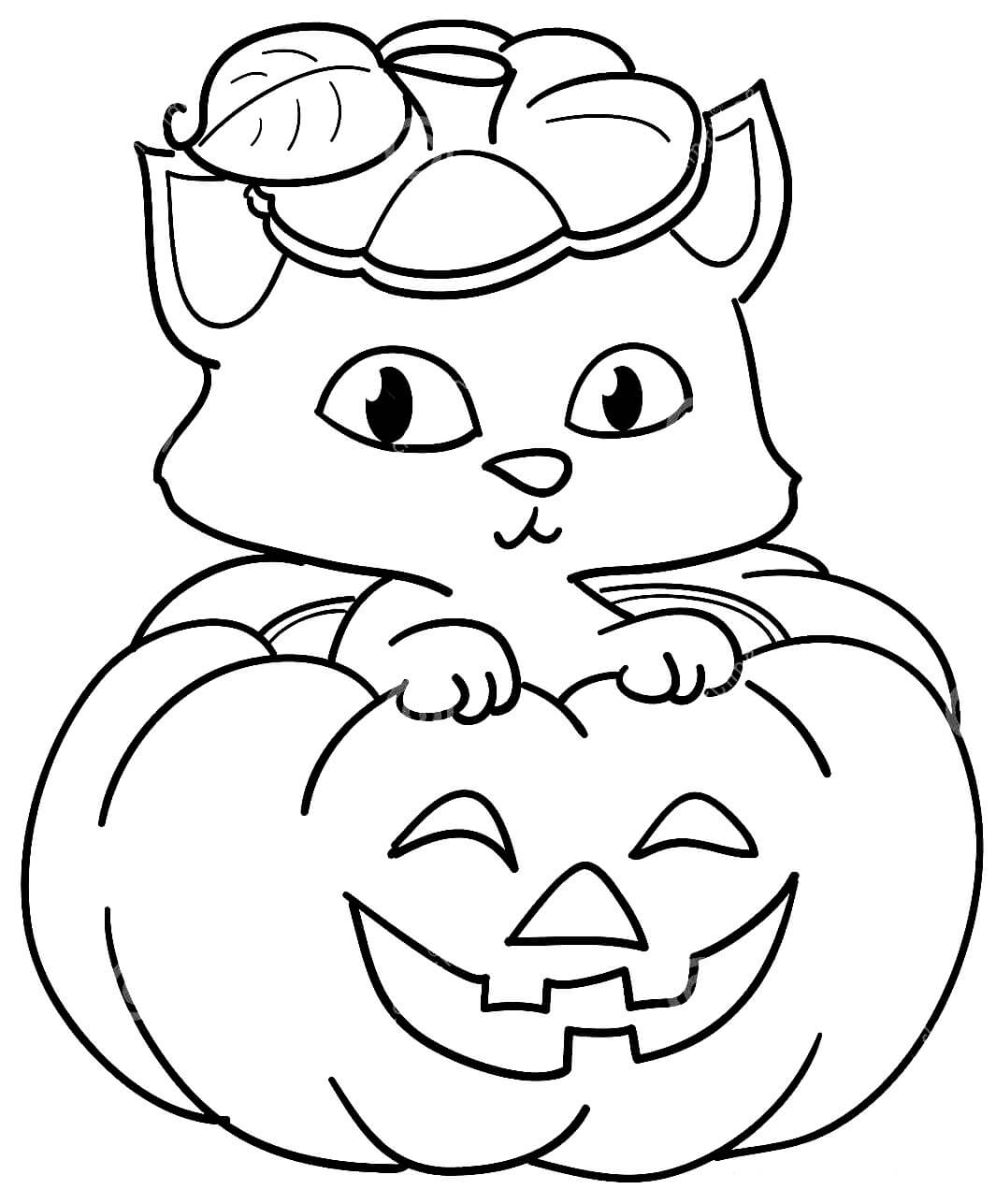 Dibujo de Gato en Calabaza para Colorear