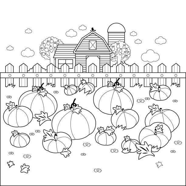 Dibujo de Granja de Calabazas para Colorear