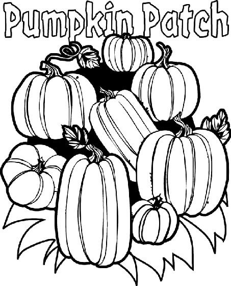 Dibujo de Huerto de Calabazas para Colorear