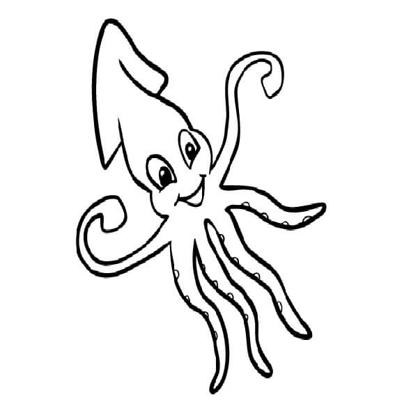 Dibujo de Calamar Divertido para Colorear