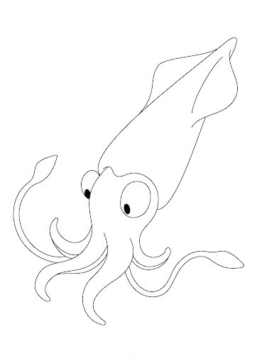 Dibujo de Calamar Dulce para Colorear
