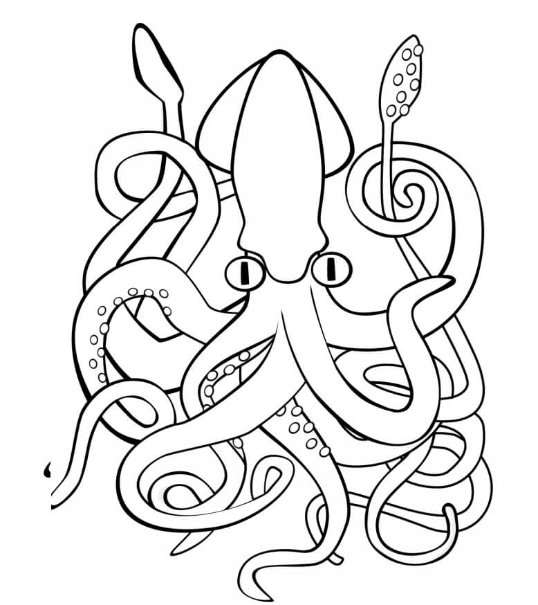Dibujo de Calamar Gigante para Colorear