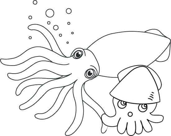 Dibujo de Calamar Lindo y Calamar Beb para Colorear